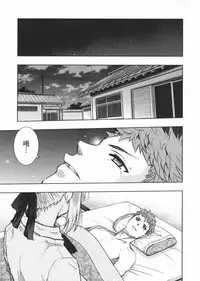 (西協)fate R18一夜之夢(fate/stay night)(chinese)