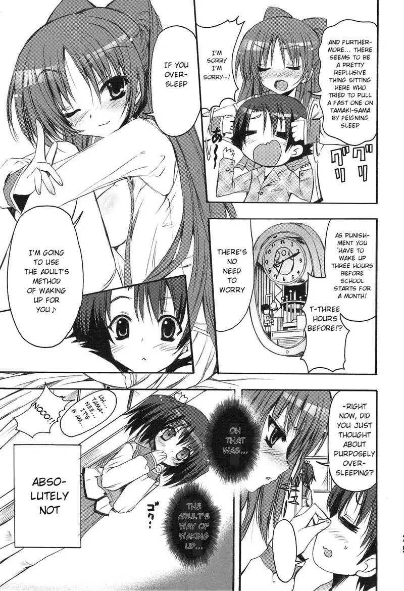 PICOMANI 04
