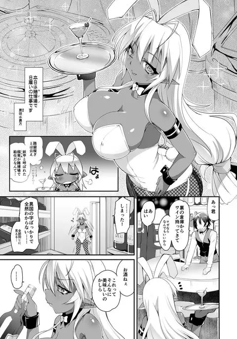 Seikou Akki Kageaki Hebereke Usagi Hen