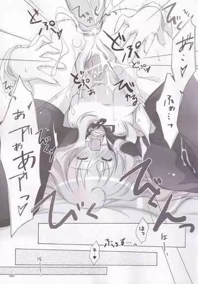 Ruizukushi