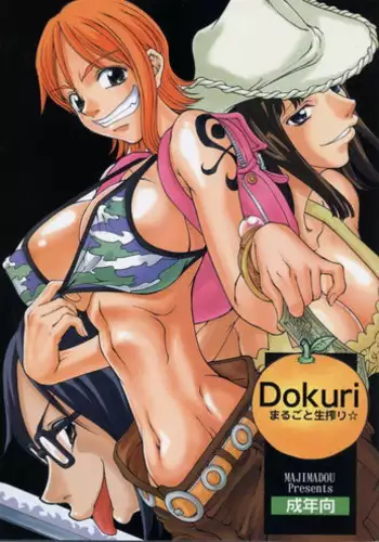 (C63) [Majimadou (Matou)] Dokuri Marugoto namashibori☆ (One Piece) [Colorized]