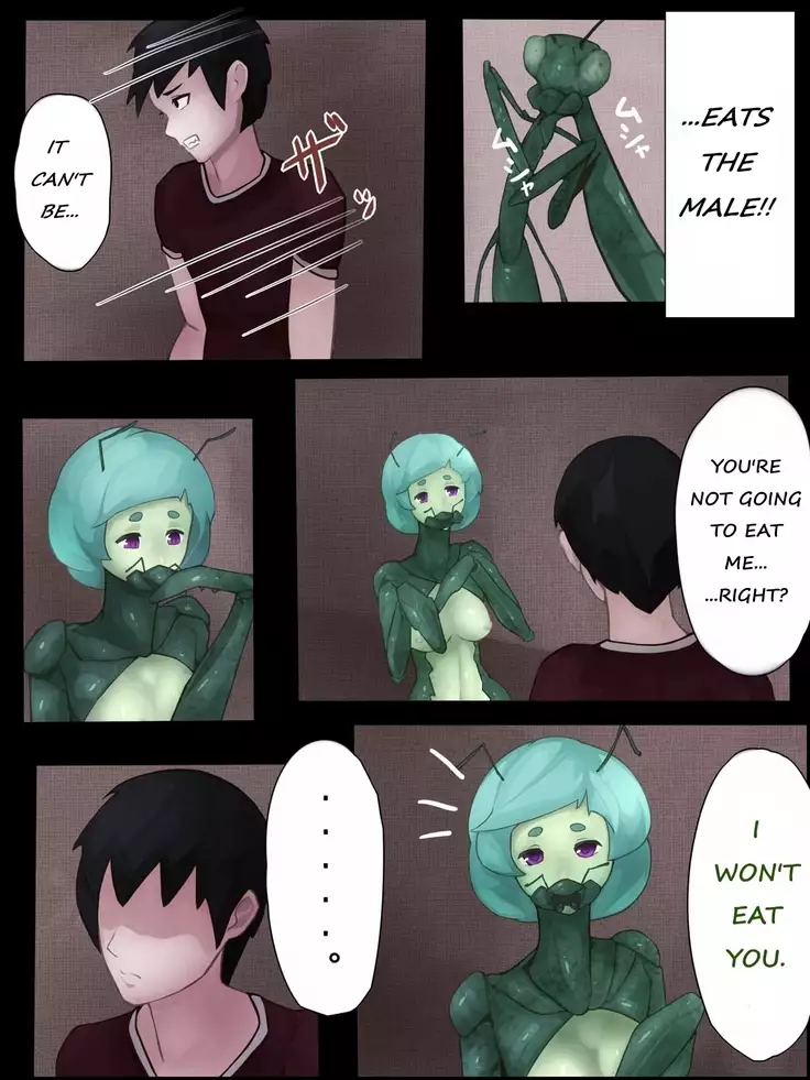 Sex with Mantis Girl -Report of Humanizer Virus Infection-