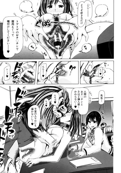 Kemono Kyoushitsu