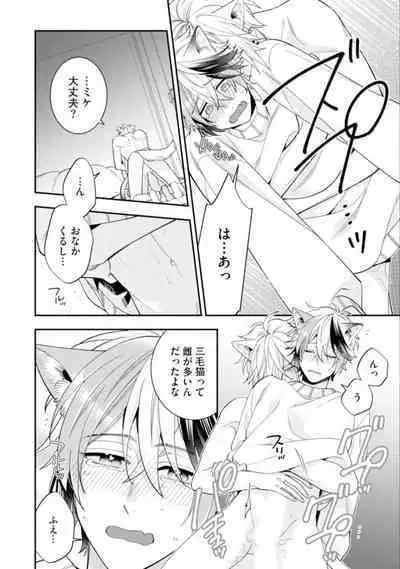 High Spec Danshi ni Natsukareteimasu