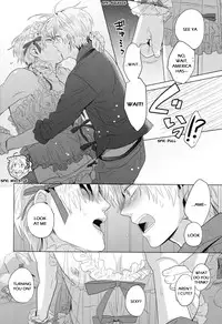 (USA5) [Frenzy (Ichi)] Mon Petit Lapin! (Axis Powers Hetalia) [English]