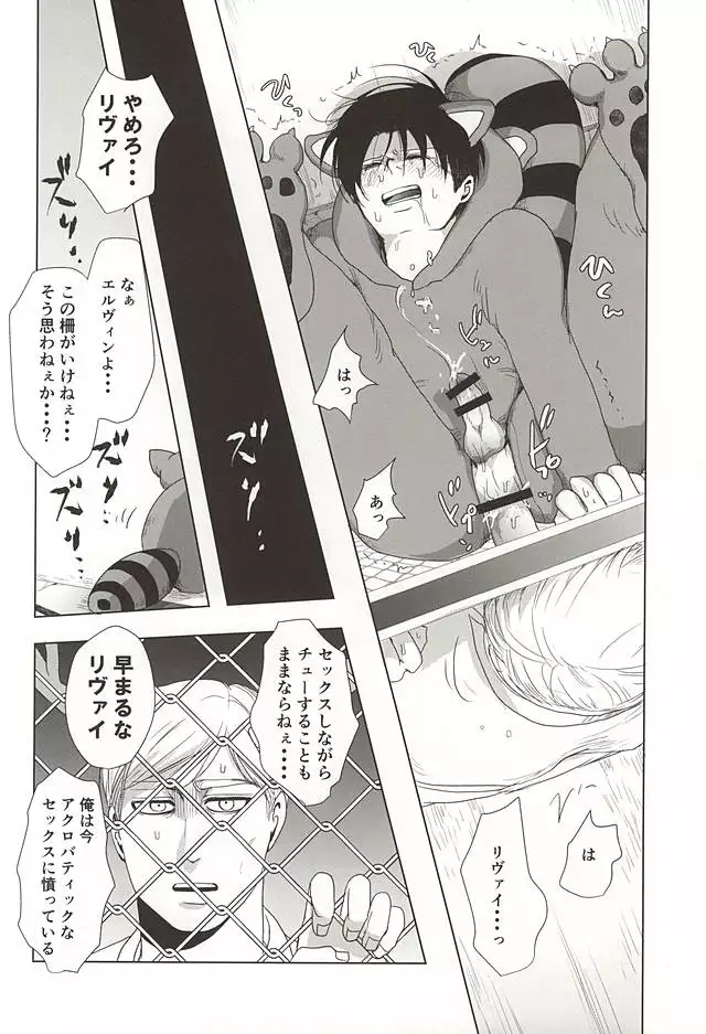 Araiguma no Levi