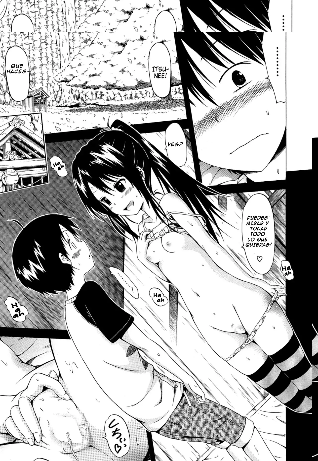 Natsumitsu x Harem
