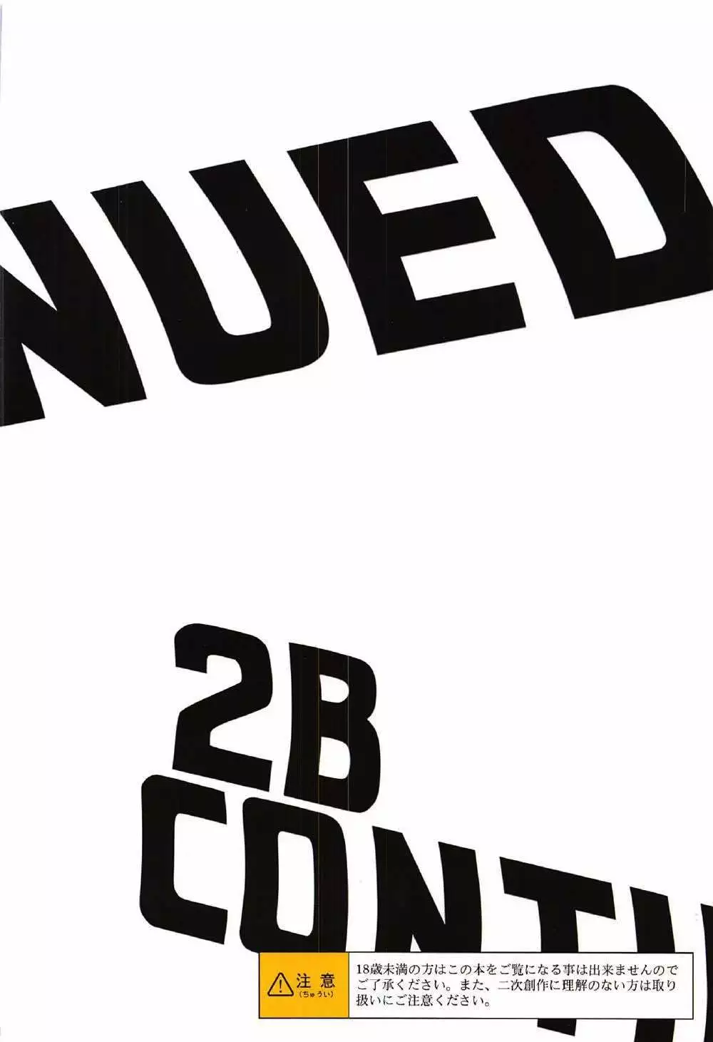 2B CONTINUED