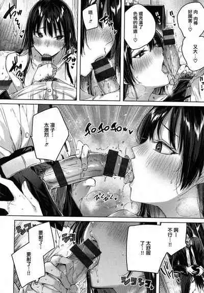 Shiko Splash