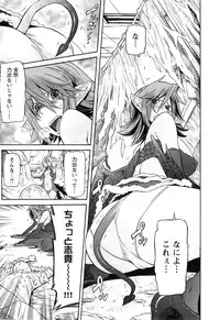[D.P] EVILIVE Vol.2