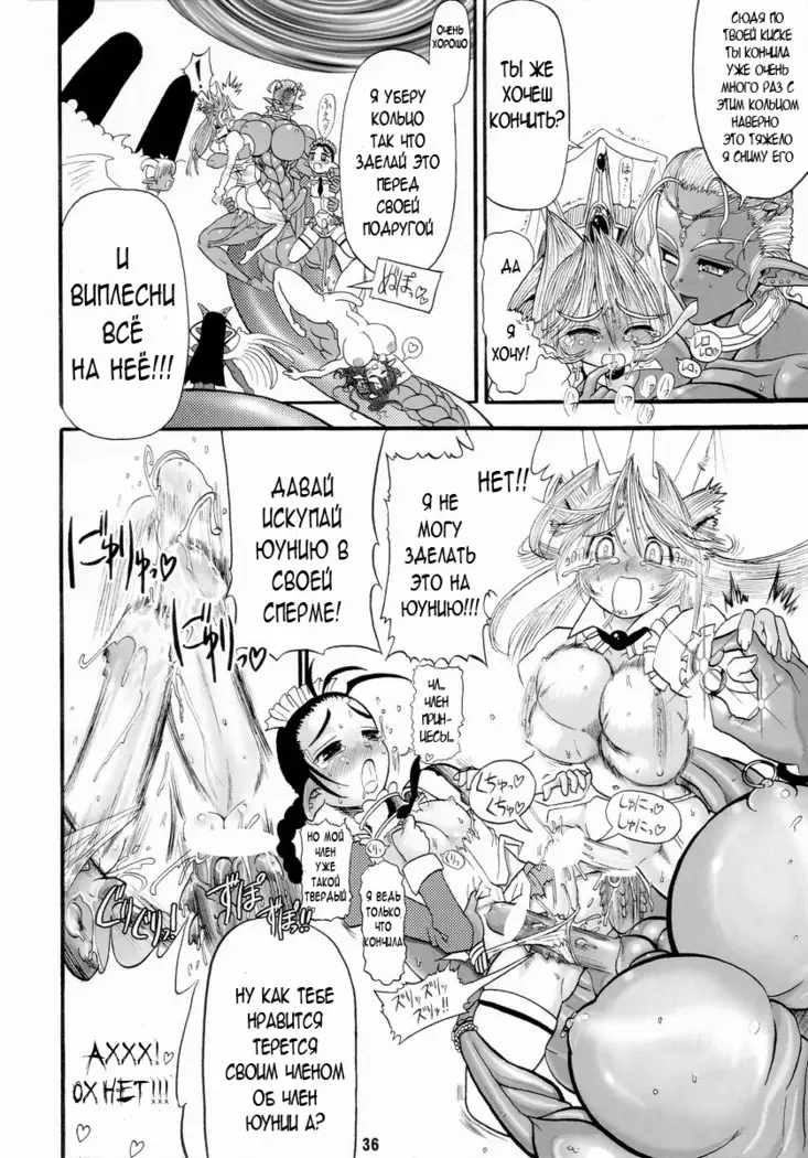 TGWOA Vol 14 - Meikyuu Oujo Prina