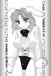ragdoll 1-4