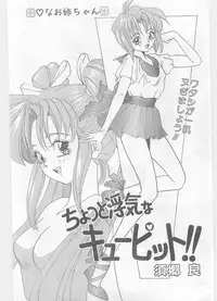 COMIC Papipo Gaiden 1996-01 Vol.18