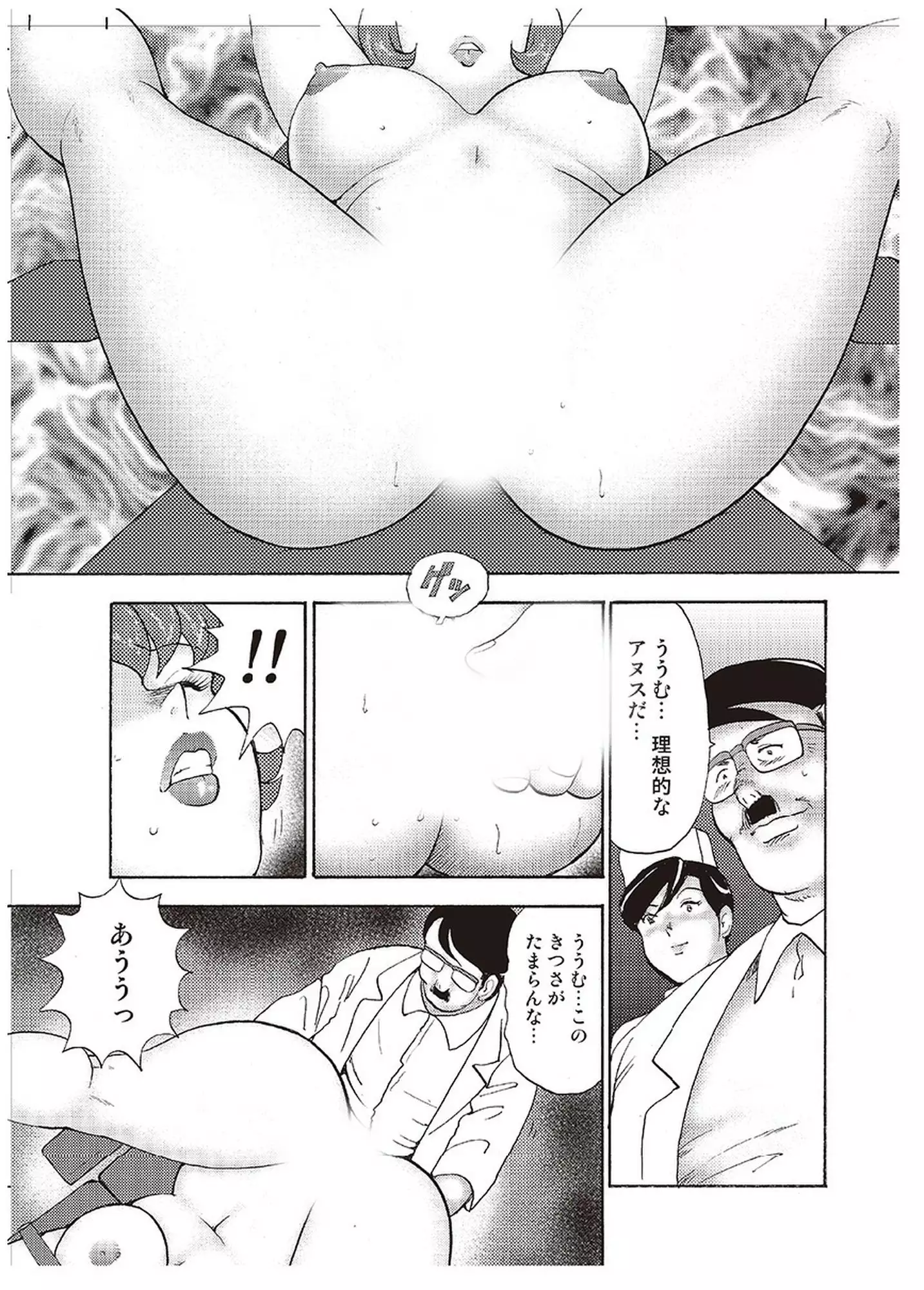 Maihime Chigoku no Ori Vol.4