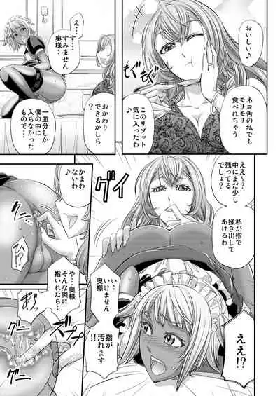 Kyuujyougaruyuu Aigan Maid no Shitsukekata