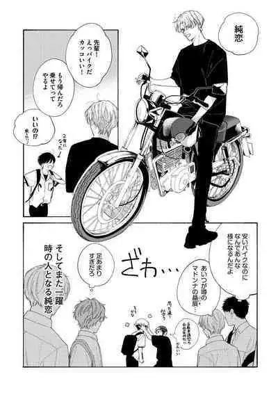 Kimi no Sumire