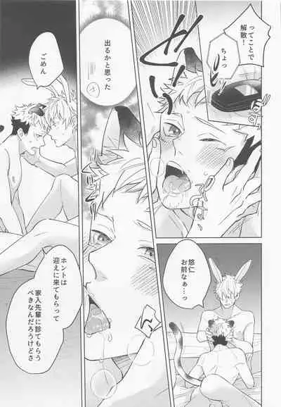 jukashitasempaigachokawaii
