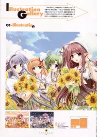 Shuffle! - Visual Fan Book