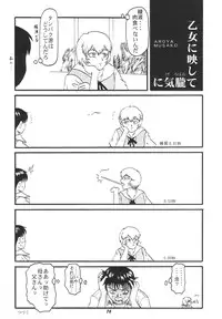 (C51) [Chimatsuriya Honpo (Various)] FSB (Neon Genesis Evangelion)