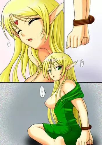 [PURUMERIA] Ashy elf (DOUJIN) - Record of Lodoss War