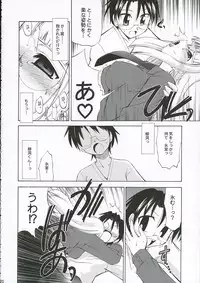 (C69) [YOKOSHIMAYA. (Yokoshima Takemaru)] Himuro Renai Jiken (Fate/stay night)