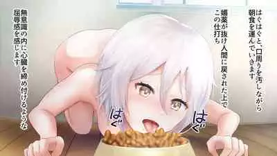 Rental Pet Nikki
