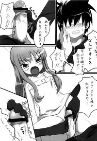 (C72) [Windtone (Safi)] ZERO 2! (Zero no Tsukaima)