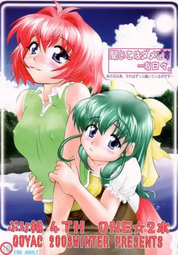 Himeko-chan ni Onegai desu 2