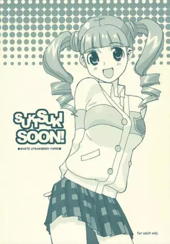 Paper no Sairoku