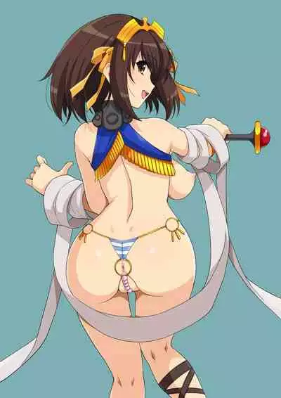 Harucos 8