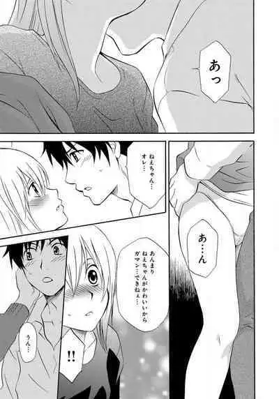 Ane no Nikumitsu
