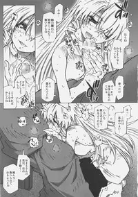 [OPEN BOOK (Toumi Haruka)] Dive Into The Night (Scrapped Princess)
