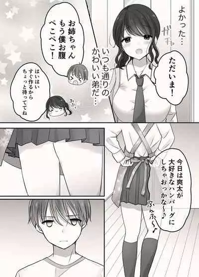 Ane to Otouto no Ecchi na Routine