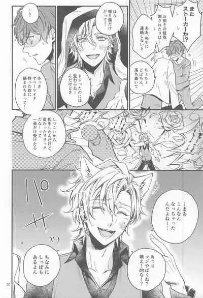 H x D COLLECTION