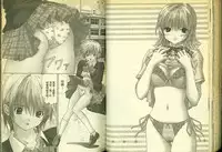 草莓100分 17