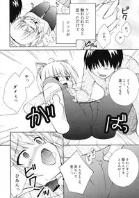 COMIC RiN 2010-12