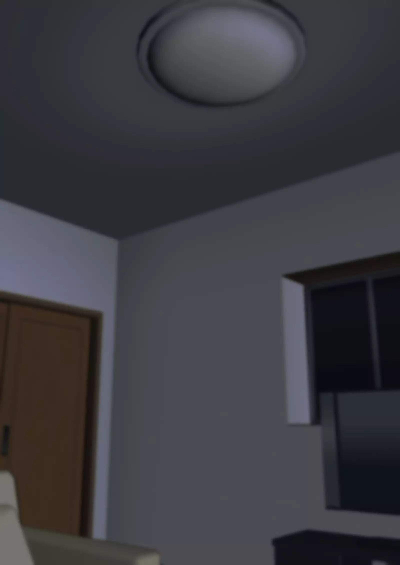 Maid no Hikaru ni Houkei Baka ni Sarenagara Shasei Suru Hanashi.