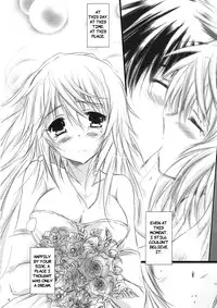 (C81) [SONIC WINTER (Tsukishima Kai)] Carol (Infinite Stratos) [English]