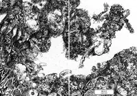 [Anthology] Jigoku no Kisetsu -Guro Rhythm Sengen- | Hell Season [English]