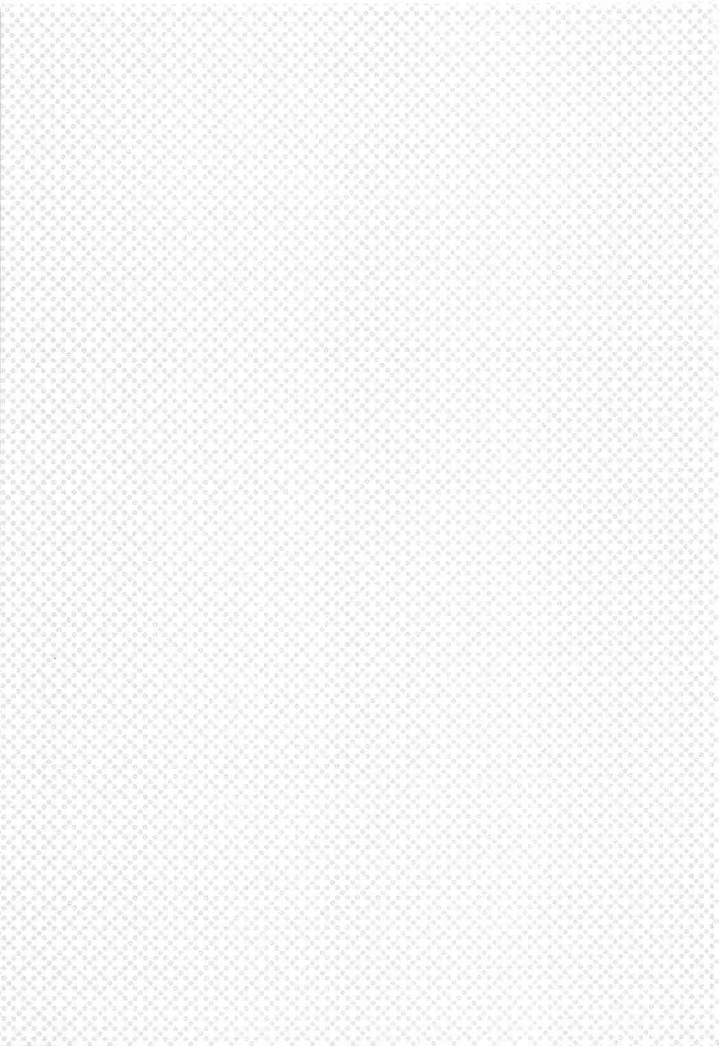 Idol Rinkan AV Nitta Minami