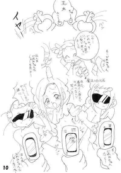 Tamaki no Naisho