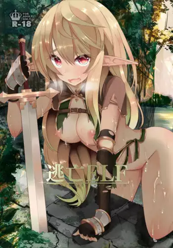 Elf no Oyomesan 1