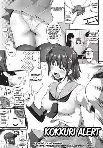 Kokkurai Alert