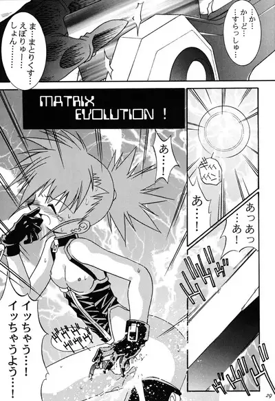 Matrix Evolution!
