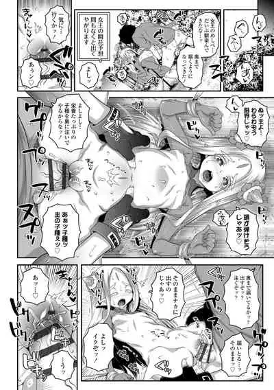 Soutaisei Virgin Theory