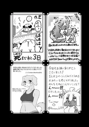 ケモ姉さん4