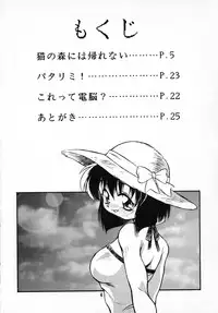 (C58) [Nagumoya (Yaeda Nagumo)] Natsu o Akiramete... (True Love Story)