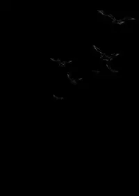 Yuukyuu no Shou Elf 2 "Shoukei"