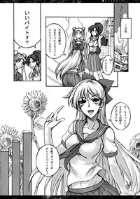 (C76) [Majimeya (Isao)] Getsukasui Mokukindo Nichi 3 (Sailor Moon)