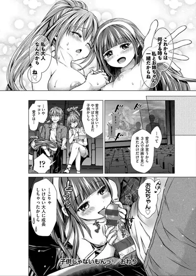 Harem Maid No Damedame Ecchi